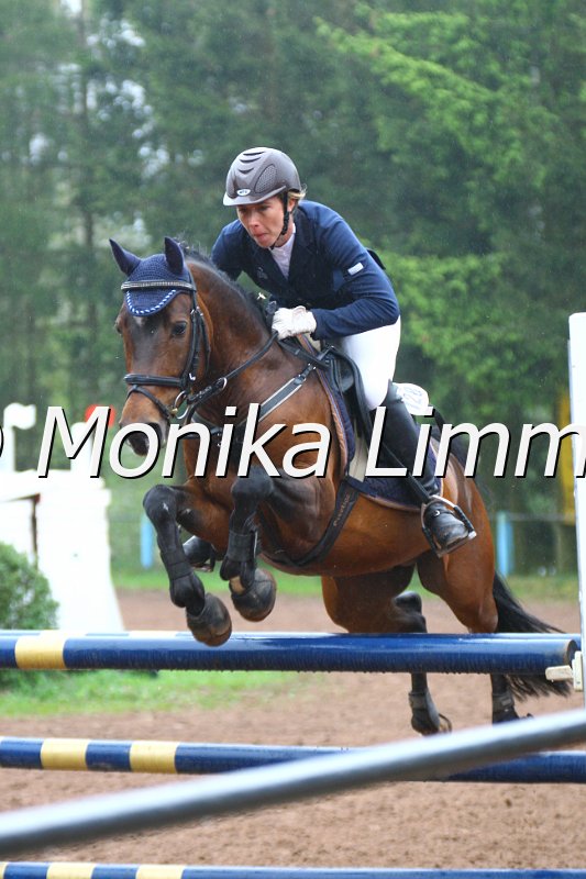 005L4744_Hartmut_Springpferde A xx.JPG